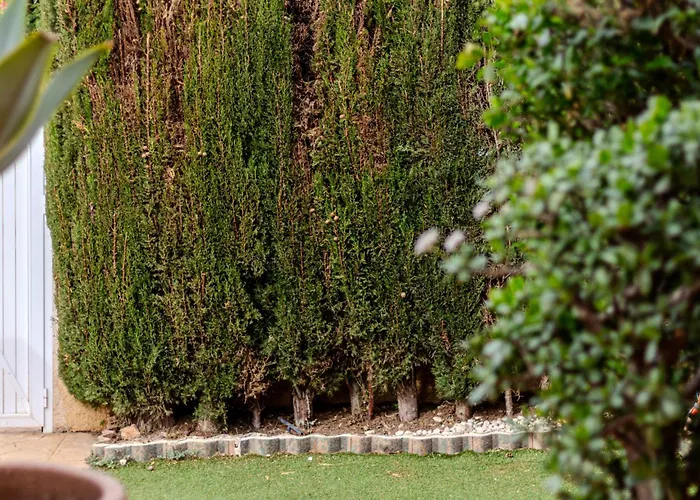 Gran Hogar Alacant - Piscina Y Garaje * Gran Alacant
